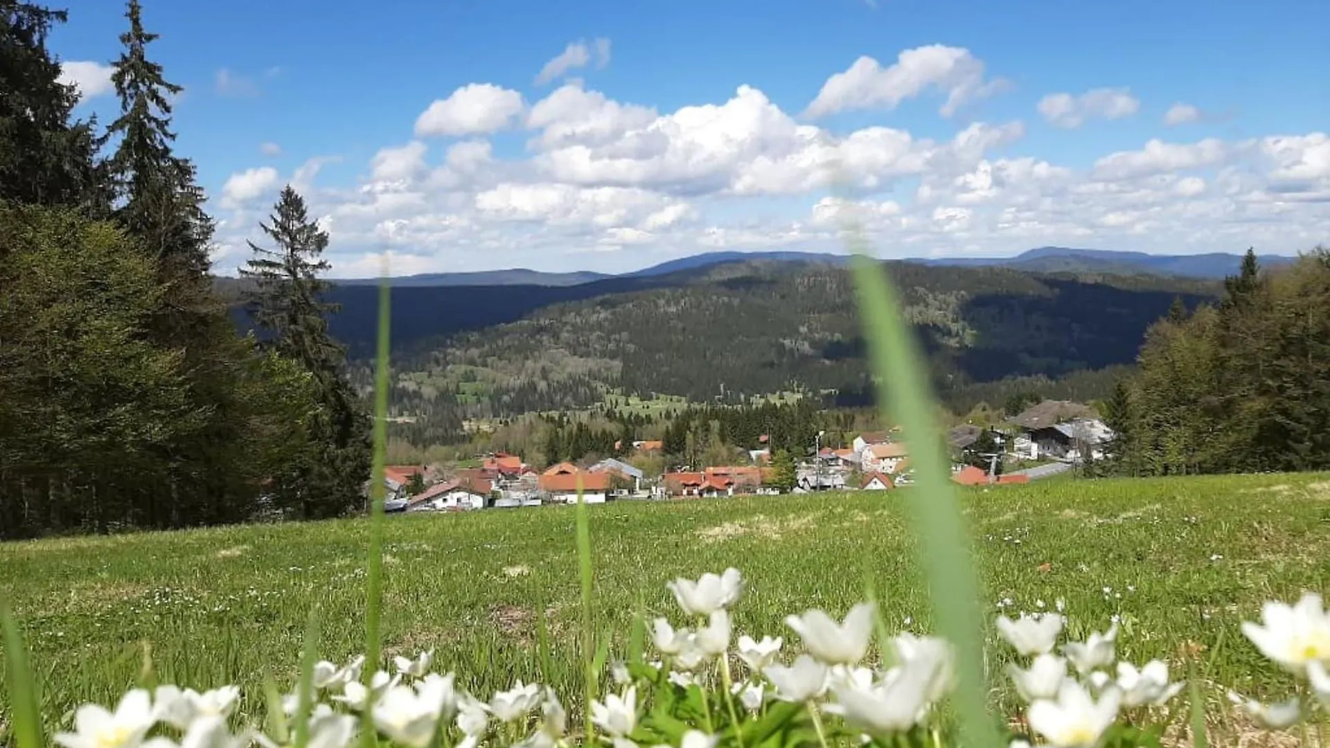 Διαμέρισμα Ferienwohnung Schaefer Im Landhaus Almberg App. 11 Philippsreut Γερμανία